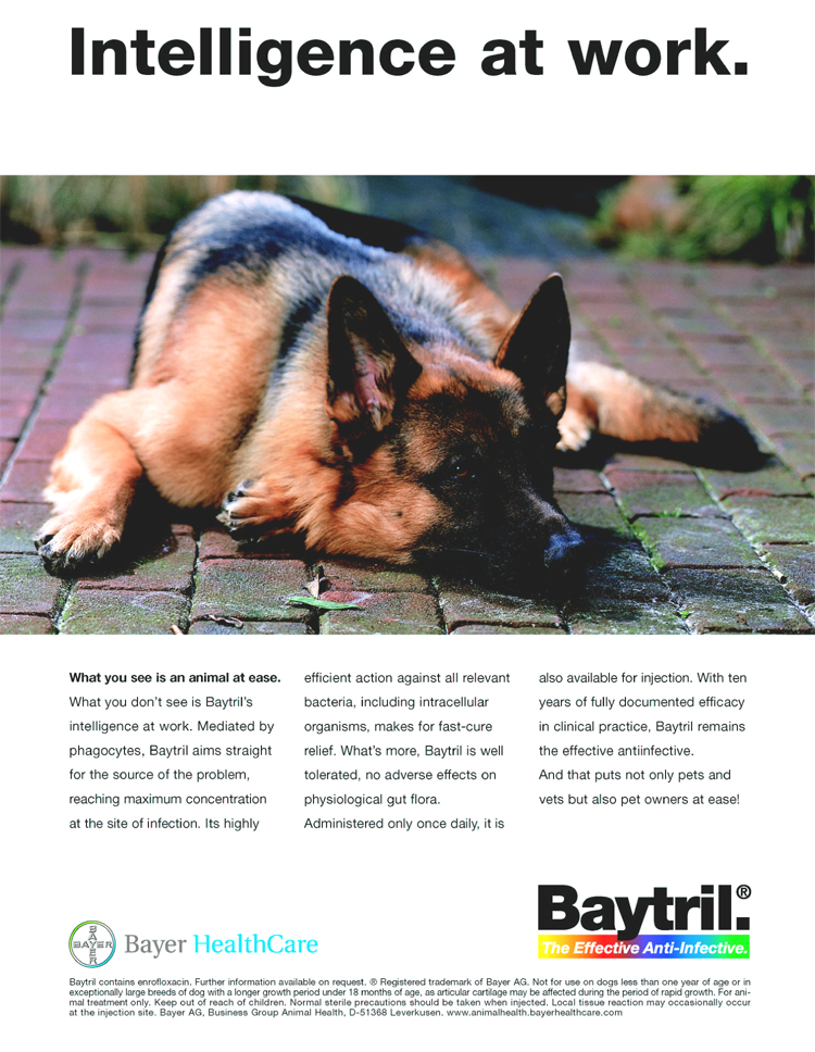 baytril dosage for dogs goldfish baytril baytril injectable for sale where to buy baytril baytril dosage for dogs goldfish baytril baytril injectable for sale where to buy baytril