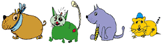 ultrasonografia-kurs2008.gif