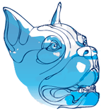 warsztaty-weterynaryjne2009vc-marzec.gif
