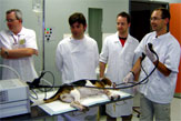 Endoscopy Intensive Course