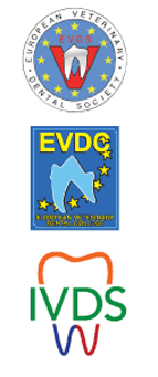 25th European Congress of Veterinary Dentistry