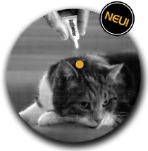 katzenbild_mit_button3259.jpg