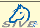 Veterinary European Equine Meeting - 14th SIVE Congress