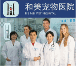 Foto: Practice Experience at the He Mei Pet Hospital in Chongqing, China